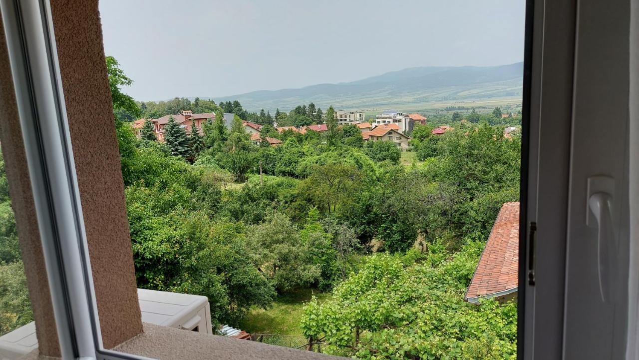 Forest Apartment Sapareva Banya Exterior foto